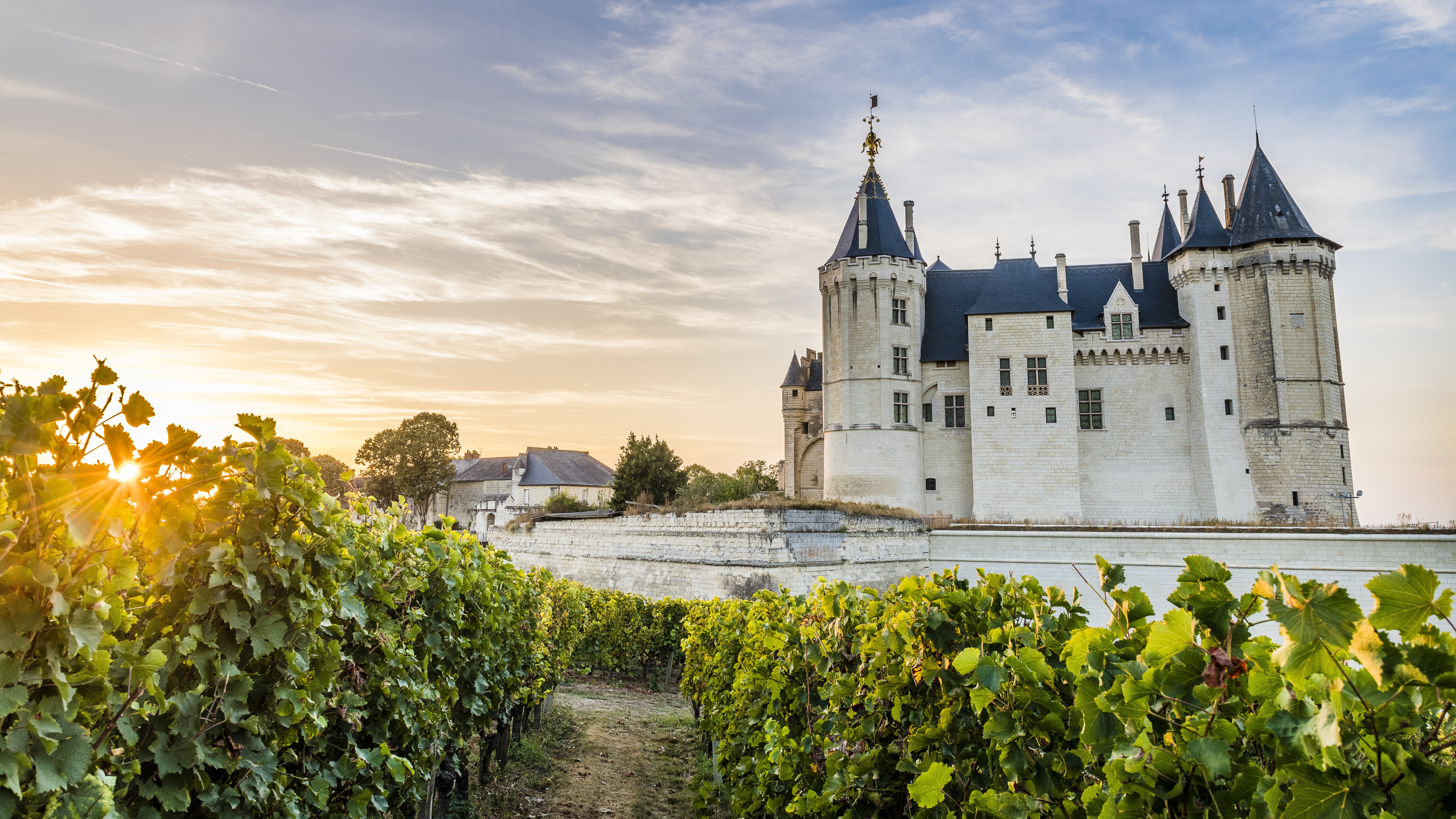 Le château de Saumur